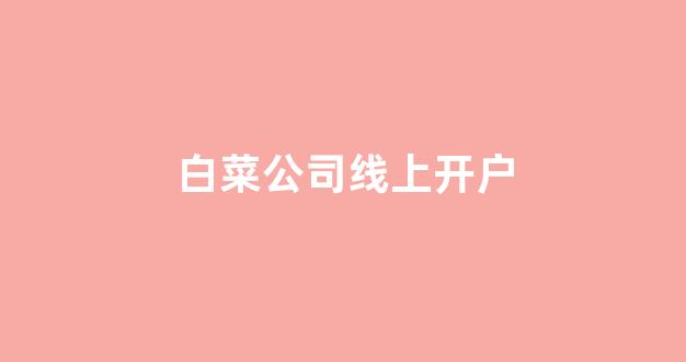 白菜网投