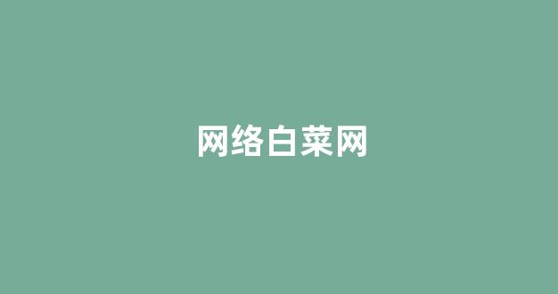 白菜公司排名